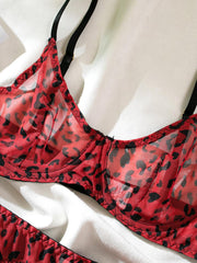 Mesh Leopard Print See-Through Sexy Lingerie 4 Piece Set MSL028