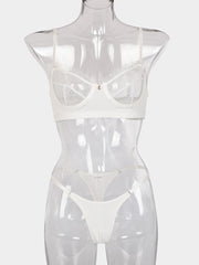 Lace Underwire Mesh Sexy Lingerie Set MSL044